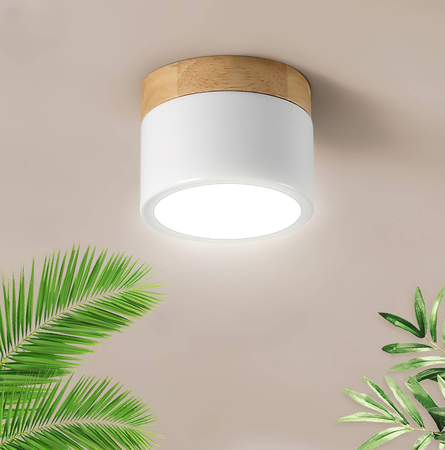 Plafonnier Scandinave Image