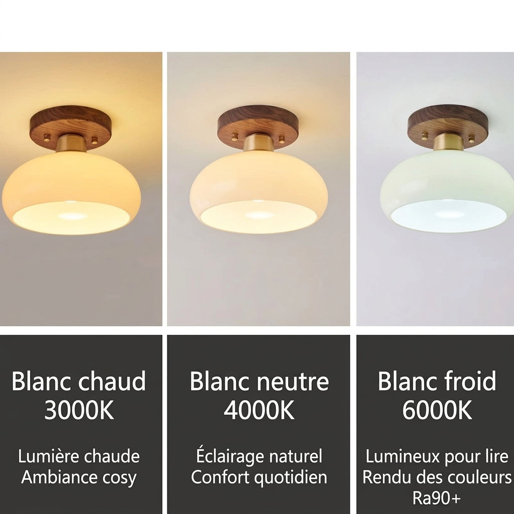 Plafonnier LED Japonais – 3 températures de couleur 3000K 4000K 6000K Image